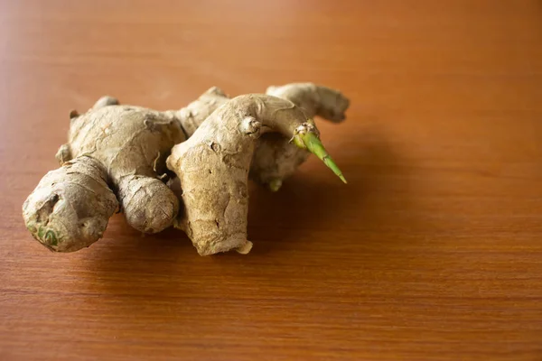 Ginger herbal plant. placed on a brown table