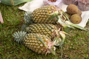 Geleneksel pazarlarda satılan ananas, taze ananas, yeşil ananas.
