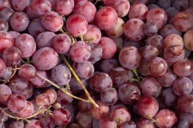 Çiğ organik kırmızı şarap arkaplanı, üzüm dokusu, kırmızı şarap arkaplanı..