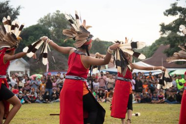 Linggang Bigung, Batı Kutai, Doğu Kalimantan, Endonezya - 1 Kasım 2022 - Dayak dansçıları Linggang Bigung köyünün doğum günü kültür festivali, Tunjung ve Benuaq Dayak gantar dansları ve diğer dansları 