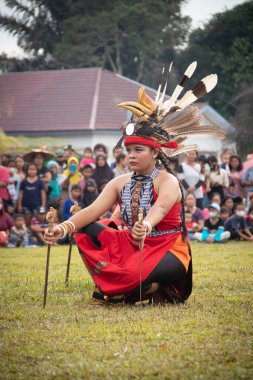 Linggang Bigung, Batı Kutai, Doğu Kalimantan, Endonezya - 1 Kasım 2022 - Dayak dansçıları Linggang Bigung köyünün doğum günü kültür festivali, Tunjung ve Benuaq Dayak gantar dansları ve diğer dansları 