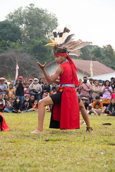 Linggang Bigung, Batı Kutai, Doğu Kalimantan, Endonezya - 1 Kasım 2022 - Dayak dansçıları Linggang Bigung köyünün doğum günü kültür festivali, Tunjung ve Benuaq Dayak gantar dansları ve diğer dansları 