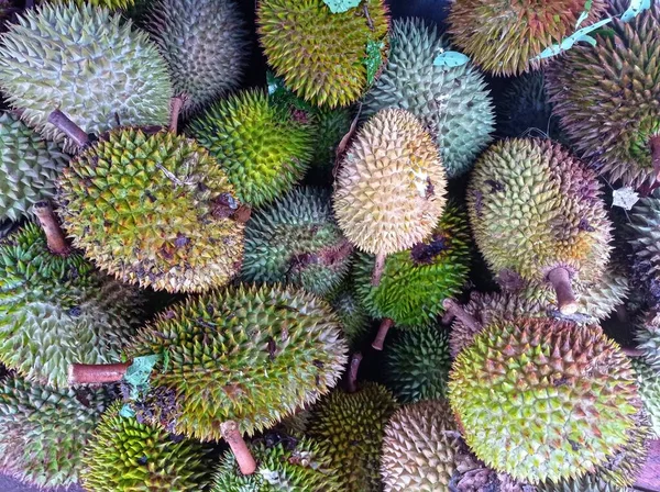 Fruta Duriana Apilada Dispuesta Lugar Del Comprador Duriano —  Fotos de Stock