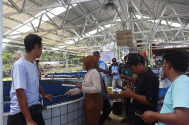 Melapeh Baru Köyü, Lingang Bigung Bölgesi, Batı Kutai Regency, Doğu Kalimantan Bölgesi - 25 Eylül 2025: Particticileri eğitmek için bir kaynak tarafından biyolog sistemi ile balık çiftçiliği eğitimi