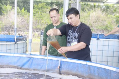 Melapeh Baru Köyü, Lingang Bigung İlçesi, Batı Kutai Regency, Doğu Kalimantan Eyaleti - 25 Eylül 2025: Biyolog sistemi kullanılarak balık çiftçiliği eğitimine katılanlar, ölçüm kabı kullanarak tarım havuzundaki suyu kontrol ediyorlar.