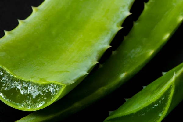 Closeup view of freshly cut aloe vera leaves with juicy aloe pulp, on black background