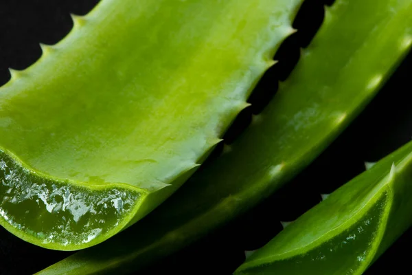 Closeup View Freshly Cut Aloe Vera Leaves Juicy Aloe Pulp lizenzfreie Stockbilder