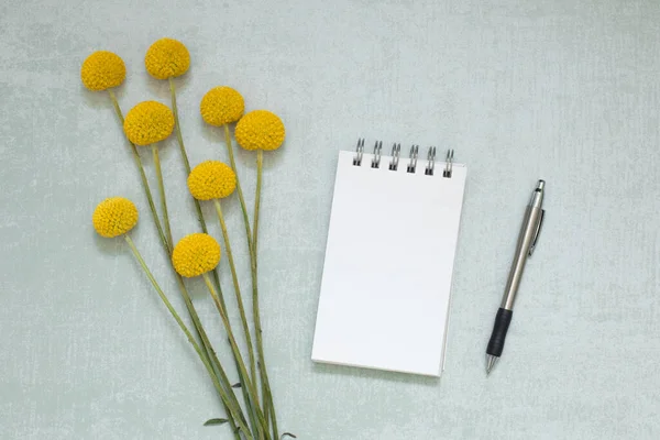 Top view on white notepad with empty page, pen and bunch of yellow flowers on mint green textured background. Craspedia Billy Button Daisy flowers. Copyspace.