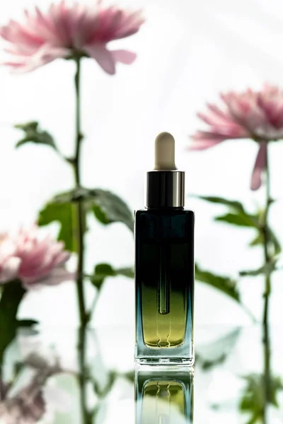 Vertical frame with a transparent glass bottle with a skin care oil on a glossy surface, blurred pink mums flowers with green leaves on the background