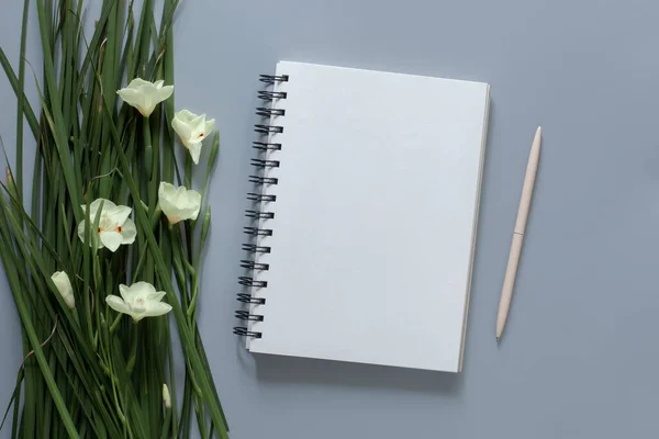 stock image Closeup top view of a bunch of iris flowers, white spiraled notebook and a pen on light gray background. Flatlay with a copy space