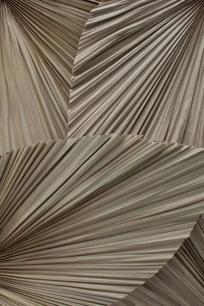 Bir arkaplan için kurumuş palmiye yapraklarının yakın görünümü
