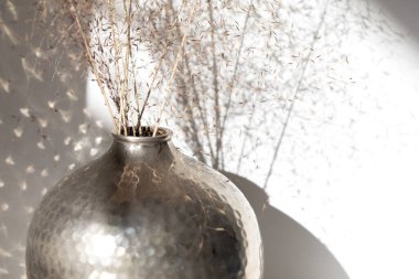 Kurumuş yabani otlar, yansımalar ve beyaz duvardaki gölgelerle birlikte metalik bir vazonun yakın görüntüsü.