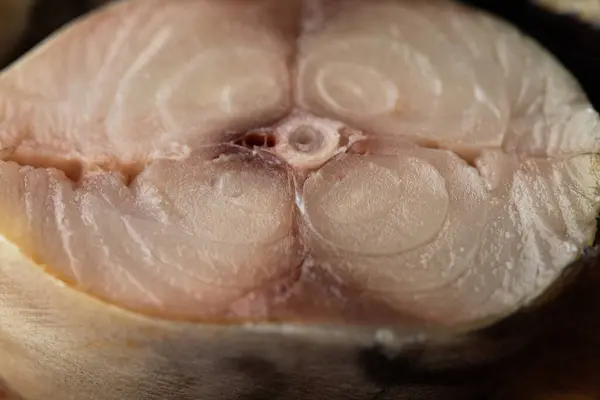 Atlantik uskumrusunun yakın çekim görüntüsü