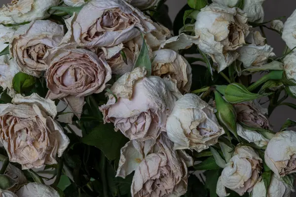 Solmuş açık pembe gül buketinin yakın görüntüsü.