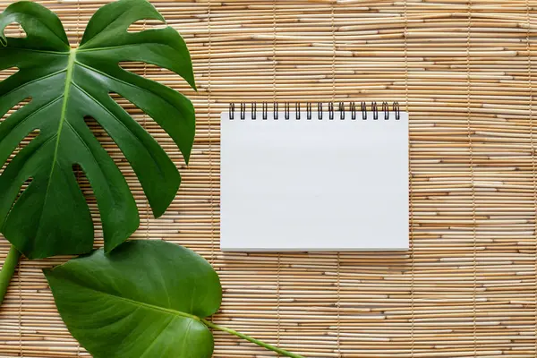 Saman sazlığı gölgesinde iki yeşil canavar yapraklı boş beyaz bir defter düz açılı.