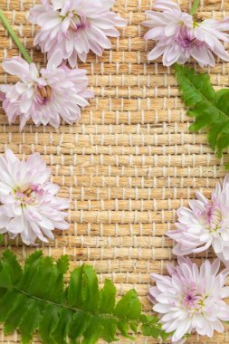 Yumuşak pembe kasımpatı çiçekleri ve taze yeşil eğreltiotu yaprakları ortasında fotokopi alanı olan doğal bir saman örtüsü üzerine yerleştirilmiş. metin veya ürün yerleştirme için