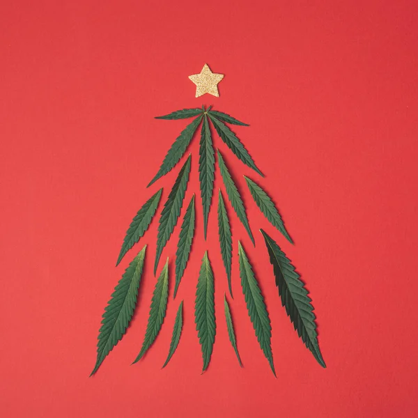 Weihnachtsbaum Aus Grünem Marihuana Cannabisblättern Und Goldstern Auf Rotem Hintergrund — Stockfoto