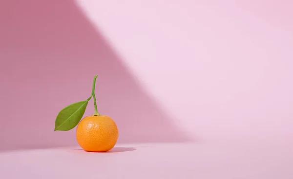 Słoneczny Kumkwat Owoców Zielonym Liściem Pastelowym Różowym Tle Minimalny Pomysł — Zdjęcie stockowe