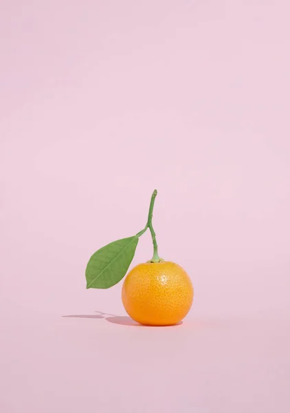 Fruto Kumquat Con Hoja Verde Sobre Fondo Rosa Pastel Idea — Foto de Stock