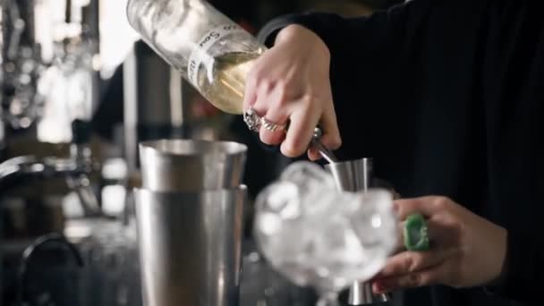 Närbild Processen Att Förbereda Cocktail Restaurang Med Shaker — Stockvideo