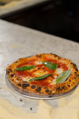 Margherita pizzasını restoran mutfağında dekore eden profesyonel şef.