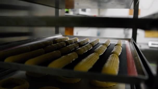 Cucina Una Panetteria Eclairs Foglio Cottura Forno Prima Cuocere Panetteria — Video Stock