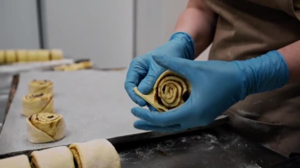Kuchnia Piekarni Proces Produkcji Cynobrów Kobieta Piekarz Kładzie Ciasto Blasze — Wideo stockowe