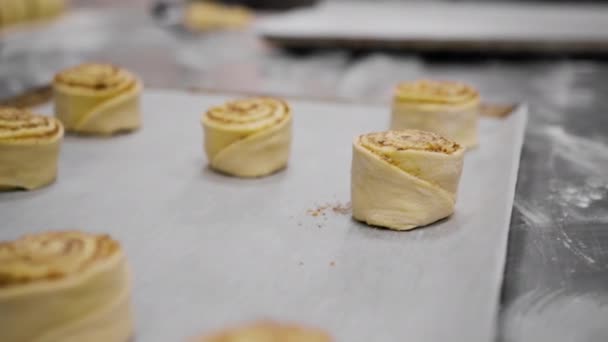 Cuisine Dans Une Boulangerie Processus Fabrication Cannons Une Femme Boulangère — Video