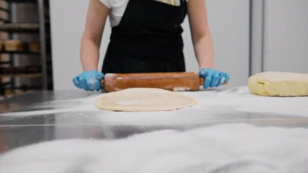 Dapur Toko Roti Proses Pembuatan Kayu Manis Tukang Roti Wanita — Stok Video