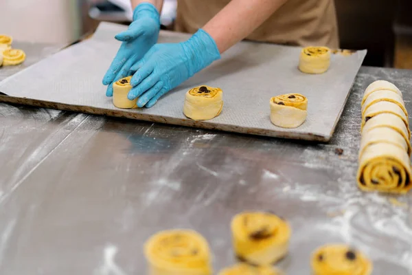 Keuken Bakkerij Het Proces Van Het Maken Van Cinnabons Vrouwelijke — Stockfoto