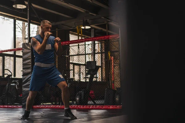 Spor Salonunda Gölge Yumruklarıyla Dövüşen Bir Boksör — Stok fotoğraf