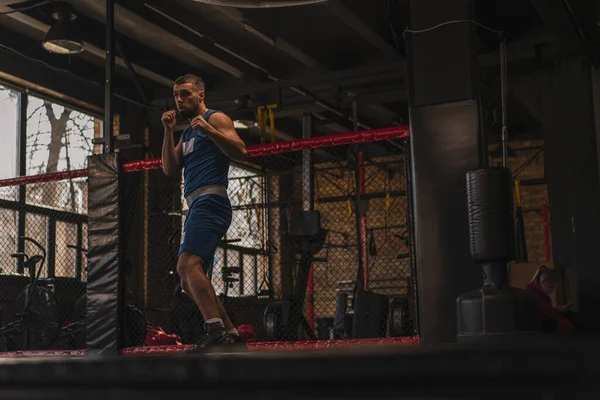 Boxeador Gimnasio Que Lucha Con Golpes Prácticas Sombras —  Fotos de Stock