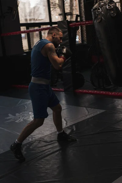 Boxeo Gimnasio Boxeador Entrena Sus Golpes Golpeando Saco Boxeo —  Fotos de Stock
