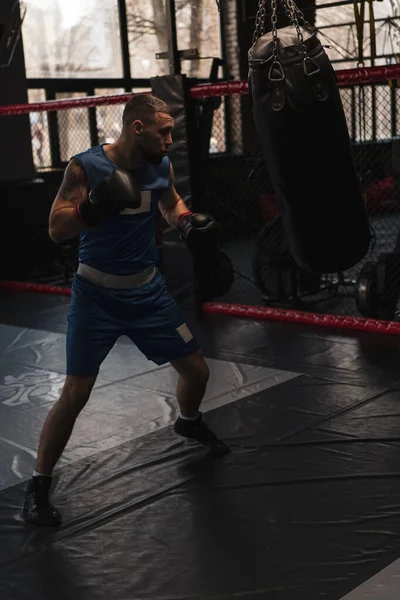 Box Tělocvična Boxer Trénuje Jeho Údery Bít Boxovací Pytel — Stock fotografie