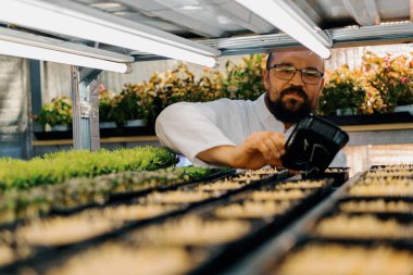 Çiftçi, mikroyeşillikleri, dikey tarım ekosistem ürünlerini, sebzeleri, sağlıklı beslenmeyi kontrol eder.