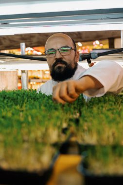 Çiftçi, mikroyeşillikleri, dikey tarım ekosistem ürünlerini, sebzeleri, sağlıklı beslenmeyi kontrol eder.