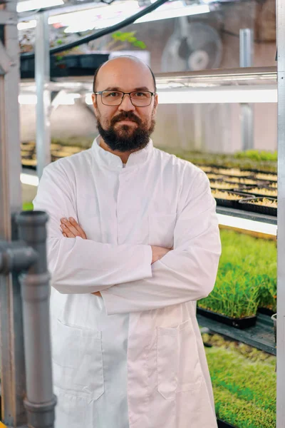 ガラスと白のコートのマイクログリーンファームで笑顔の男性庭師の肖像 健康ビーガン食有機植物発芽 — ストック写真