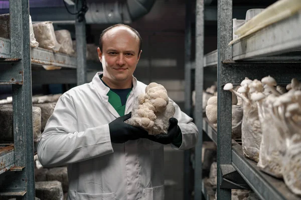 A mycologist from a mushroom farm grows lion\'s mane mushrooms satisfied scientist holds mushrooms in his hands