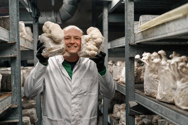 A mycologist from a mushroom farm grows lion\'s mane mushrooms satisfied scientist holds mushrooms in his hands