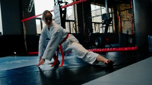 女子は着物姿で体育女子空手を練習し武道をポーズ — ストック動画