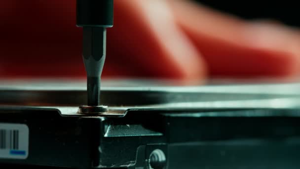 Επισκευαστής Σφίγγει Βίδα Του Σκληρού Δίσκου Κατσαβίδι Επισκευαστής Εγκαθιστά Νέο — Αρχείο Βίντεο