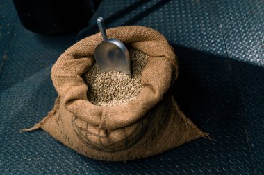 Kahve endüstrisi üretim konseptini kavurmadan önce yeşil çiğ kahve çekirdeklerini spatulayla birlikte bir poşete koy.