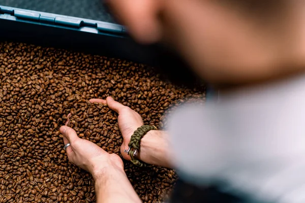 一个工人在咖啡厂机器上烘焙咖啡后 检查咖啡豆的质量 — 图库照片