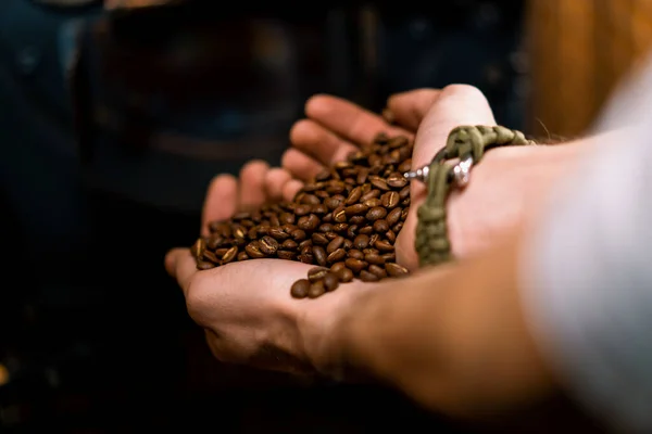 A worker inspects fragrant roasted coffee beans taking them in his hands at production plant close-up