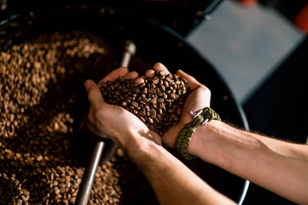 近くの工場で手に取る香り高い焙煎コーヒー豆を検査する労働者 — ストック写真