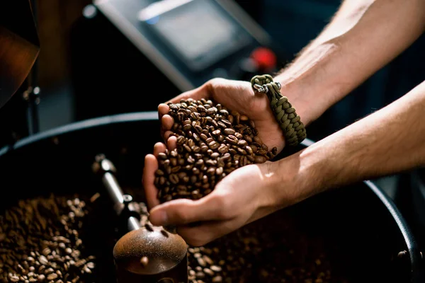 近くの工場で手に取る香り高い焙煎コーヒー豆を検査する労働者 — ストック写真