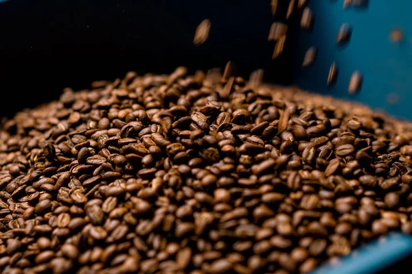 コーヒーの生産ローストと芳香族コーヒー豆は輸送のための準備箱に注ぎ込んでいますクローズアップ — ストック写真