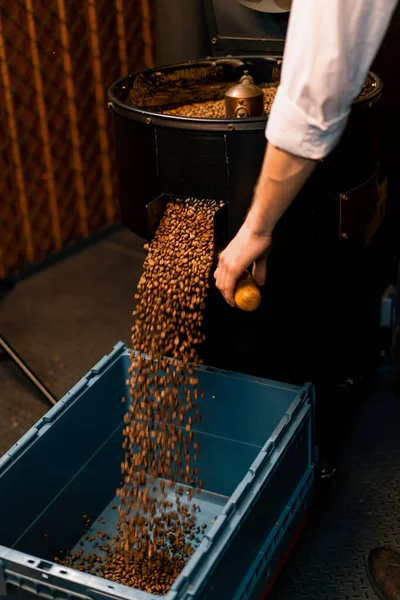 一个男人从咖啡壶里把刚烤好的咖啡豆倒入冷却筒咖啡生产中 — 图库照片