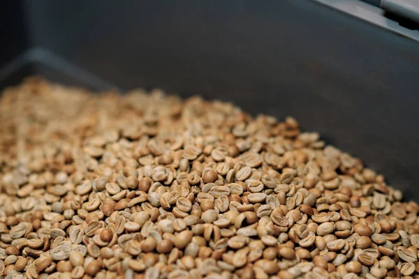 クラフトコーヒー生産生コーヒー豆はコーヒー焙煎のための箱の準備に横たわっていますクローズアップ — ストック写真