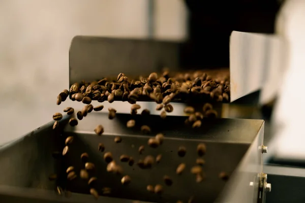 産業用シェーカーのコンベアにコーヒー豆が押されますコーヒー業界を梱包するためのブラウン豆の秋 — ストック写真